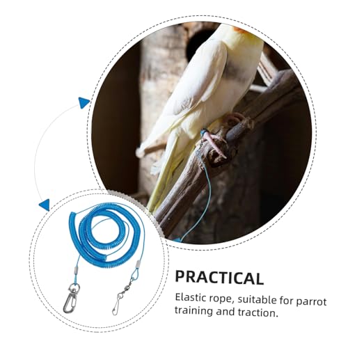 TOYANDONA 2pcs Parrot Training Leash Elastic Flying Rope for Safe Outdoor Activities Comfortable for Birds for Parrot and Training