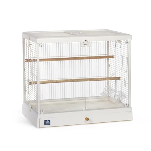 Prevue Pet Products Clear View Glass Standing Bird Cage - White | Ideal for Small Birds like Parakeets, Budgies, Finches, Cockatiel, & Lovebirds, Stand-Alone Birdcage - size: 24.5"L x 16.5"W x 21.7"H