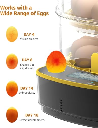 Egg Incubator for Hatching Eggs