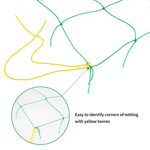 Trellis Netting for Climbing Plants Garden Plant Netting | 6 Ft x 12 Ft Green Heavy-Duty Plastic Plant Trellis Netting for Tomato, Cucumber, Plants, Fruits, Flowers