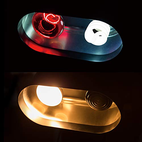 REPTI ZOO Dual Reptile Light Fixture for Reptile Dome UVB Lamp Fixture Dual Reptile Reflector Dome Lamp Cap Combo Integration Design Heat Lighting Lamp Kit - size: 1 Count (Pack of 1)