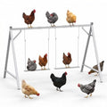 Chicken Perch Swing, Chicken Roosting Bars for 6–8 Chicken, Grey | With 2 swings, Made of Premium Metal with a Sturdy Structure, Indoor & Outdoor Use, Easy to Install and Clean