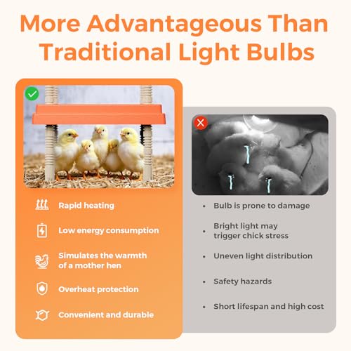 Large Chick Brooder Heating Plate 12" x 12" with Anti-Roosting Cone, Stepless Adjustable Height for Up to 25 Chicks, Energy Efficient Mother Hen Brooder for Poultry - color: ORG-12
