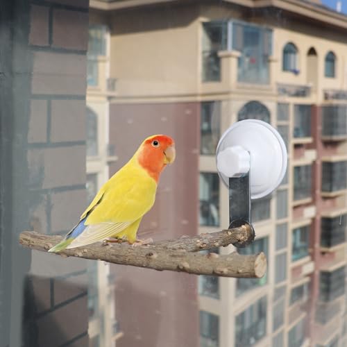 Bird Window Perch Stand with Suction Cup, Outdoor Travel Window Mirror Bird Stand Toy, Suitbale for Small and Medium Bird Parrot Parakeet Cockatiel