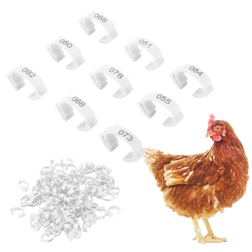 100PCS Chicken Leg Rings, 5 Colors Chicken Leg Bands Readable Numbered Chicken Identification Leg Bands Card Slots Design for Chicks Ducks (White (100 Pieces per Pack)) - color: White (100 Pieces Per Pack)