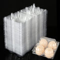 DAJAVE 100 Pack Plastic Egg Cartons, Clear Egg Cartons Bulk Holds up to 4 Eggs, Plastic Egg Holder for Family, Pasture, Farm Markets Display