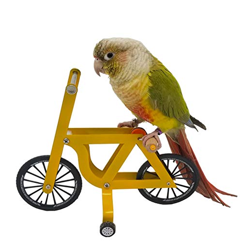 QBLEEV Bird Intelligence Training Toy - Parrot Puzzle Bicycle for Birds | Trick prop training education interactive table top & foot talon toy for african grey cockatoo conures cockatiel quaker - size: Large