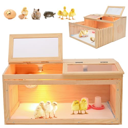Large Chicken Brooder Box for Chick,Wooden Brooder Box 32" with Bulb Set and Thermometer - Accommodates Up to 25 Chicks-Ideal for Ducks,Quails,Hamsters,and Lizards（32x16x16 Inches）