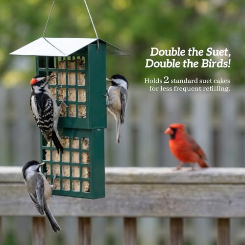 Solution4Patio Suet Bird Feeder for Outdoors, All Metal Bird Feeder for Wild Birds, Heavy Duty Galvanized Steel Hanging Feeder with Slide-Top Roof, Weather Resistant, Holds 2 Suet Cakes (Green) - color: Green