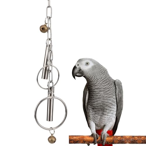 Hypeety Stainless Steel Bird Bell Toys Heavy Duty Hanging Bell Toy for Cage | Rustproof, durable, safe for metal cage, easy-hanging, with 2 rings, for cockatoos/macaws/african grey/large parrots and bird - color: Bells+Rings