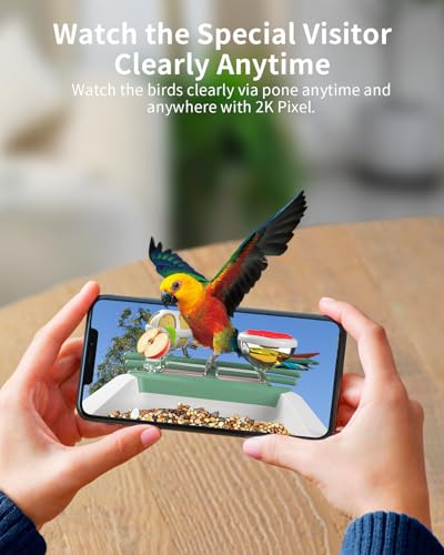 Bird Feeder with Camera, 2K Smart BirdCamera with Solar Powered, AI Identify Birds Species, Instant Arrival Alerts, 2.4Ghz WiFi Bird House for Outdoors, Ideal Gift for Family and Bird Lovers (Green) - color: Green