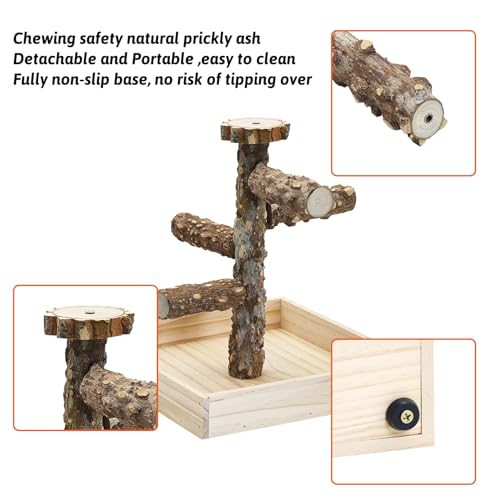 BNOSDM Portable Bird Perch Stand with Potty Tray, Natural Wood Tabletop Training Gym Parrot Playground Toy for Budgies, Cockatiels, Lovebirds,Conures Canaries - color: Five Levels Bird Stand