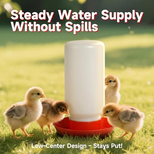 4PCS Chick Feeder and Waterer Kit,Baby Poultry Starter Set for Small Poultry Chicks Ducks Quail Pigeons Birds(Red Chick Feeder Waterer Kit) - color: 4PCS Chick Feeder and Waterer Kit