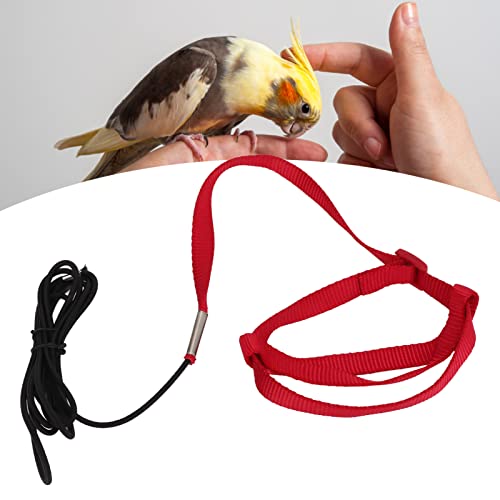 Elastic Parrot Harness Leash Bird Leash Bite Proof Harness Adjustable Parrot Flying Training Rope with Metal Hook Nylon Webbing for Cockatiels Walking (L) - size: L