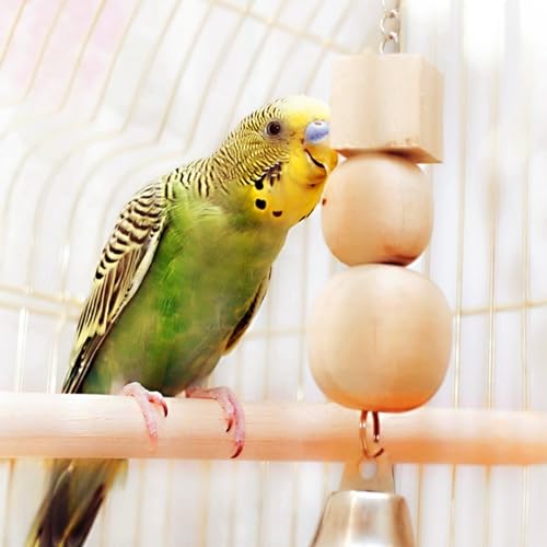 Bird Perch Wooden Parrot Perchs Stand, 4PCS Parrot Perches Toys Wood Perches with Different Widths Bird Cage Toys Cage Accessories for Macaws, Small Parakeets, Conures, Budgies, Finches