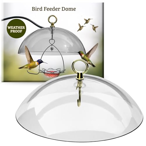 Birds Choice Bird Feeder Dome with Hanger | 10.5in Rain Guard Cover, Clear | Domed Acrylic Outdoor Weather Guard for Hanging Feeders to Keep Seed Dry, Heavy-Duty Chrome-Plated Hanger and Hook - color: Clear