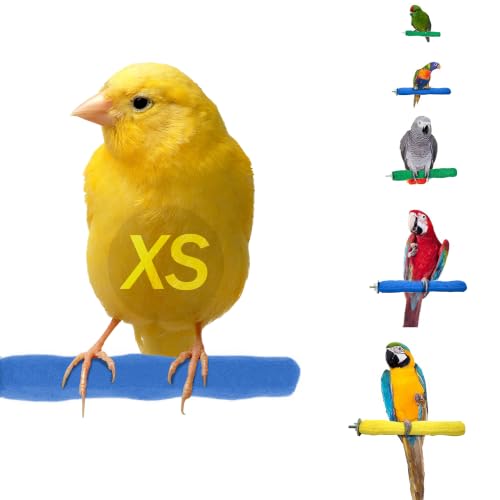 Sweet Feet and Beak Comfort Grip Safety Bird Perch, X-Small Pedicure Perch | Made from Bird-Safe Concrete Blend, Promotes Feet, Nails and Muscle Stimulation, 4.5" Perch, Available in 5 Sizes, Blue - color: Blue, size: X-Small 4.5"