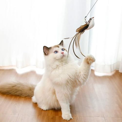 6 Pieces Cat Feather Toys Replacement Bird Insect Cat Toy Wand Refills Cats Toy Replacement Natural Bird Feathers for Cats Toys - color: 6 Pcs Bird Insect