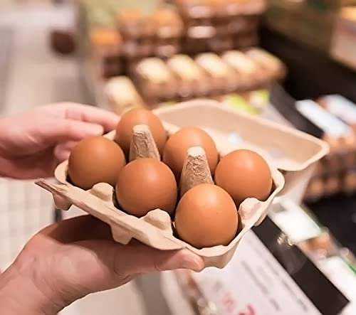 30 Pack Half Dozen Egg Cartons, Natural Pulp Egg Carton Bulk 6 Count for Chicken Eggs and Small Duck Eggs, Reusable, Protects, Egg Storage Containers for Home Kitchen and Farmhouse (30 PCS 6 Count) - color: 30 PCS 6 Count