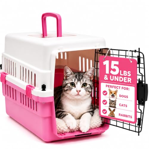 20-Inch Pink Hard Shell Pet Carrier for Small Dogs & Cats Under 15 Lbs | Plastic Dog Crate & Cat Travel Kennel, Secure Metal Door, 360° Airflow, Wipe-Clean Base - color: Pink