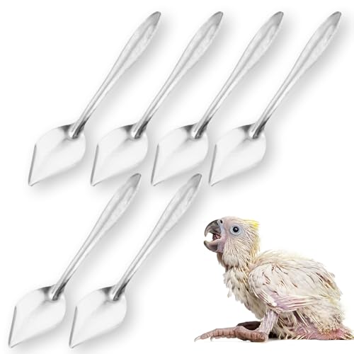 6 Pcs Bird Parrot Feeder Spoon Stainless Steel Hand Feeding Scoops for Small Birds