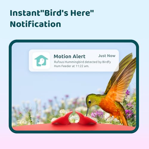 Smart Hummingbird Feeder with Camera, Auto Detect Record Bird Video, Instant Notification, Live View, Solar Powered Hummingbird Feeders for Outdoors Ant Bee Proof, 14oz, Gift for Bird Lovers