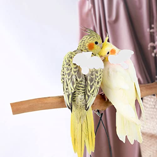 Pet Parrot Bird Harness and Leash, Adjustable Training Design Anti-Bite, Bird Nylon Rope with Cute Wing for Parrots, Suitable for Alexandrine, Scarlet, Keck, Mini Macaw Same Size Birds (White) - color: White