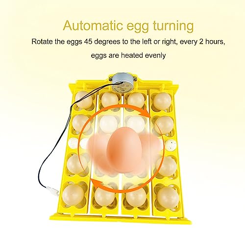 Egg Turning Tray, AC 110V Chicken Multifunction Automatic Turner Incubation, Quail Incubators for 16 Duck Eggs 16 Eggs 72 Quail Eggs - size: AC110V