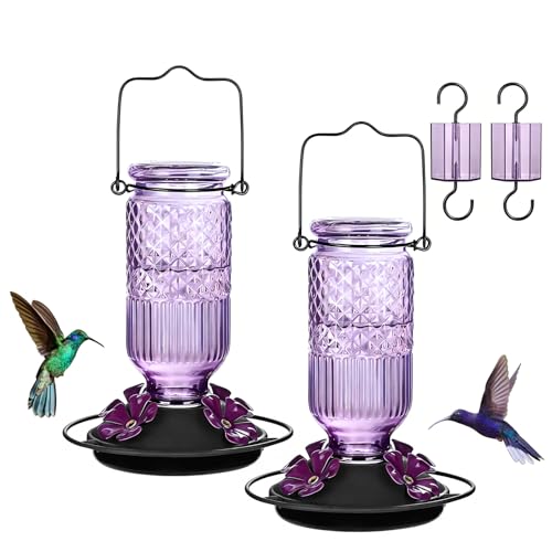 Glass Hummingbird Feeder for Outdoors Hanging, 16 oz Leak-Proof Nectar Feeder with Bee Guards & Ant Moat, 4 Metal Flower Feeding Ports, 360° Perch Ring, Easy Refill & Clean, Purple 2 Pack - color: Purple