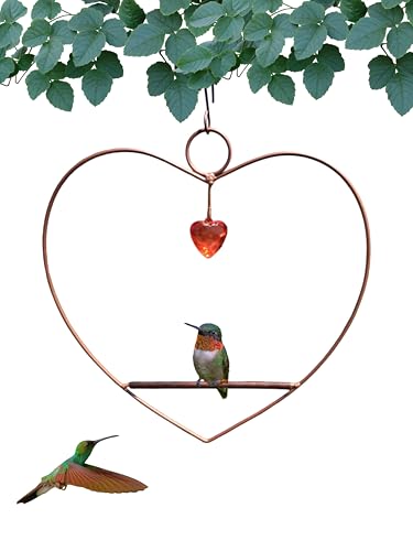 Tweet Heart Hummingbird Swing - Copper - Wooden Dowel | Decorative Jewel Heart - Hummingbirds Guard Their Feeder - Copper Finish Frame - color: Copper