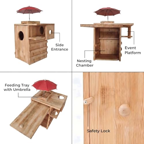 Outdoor Extra Large Wooden Squirrel House Protective Nest Box with Feeder | Natural pine, weatherproof. Backyard shelter for squirrels, chipmunks, birds. Easy mount. Size 24.8x11x15.7in - size: XL