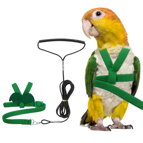 Bird Harness Leash, Adjustable Pet Parrot Bird Harness and Leash Lightweight Anti-Bite Flight Training Rope with Cute Wing, (Green, M), Intended for Parrots/Pigeons/Budgies - color: Green, size: Medium