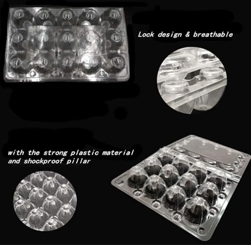 Quail Egg Cartons,15 Grids Small Egg Storage Holders,Quail Eggs Bulk Carton Trays & 2PCS Stainless Steel Cutter