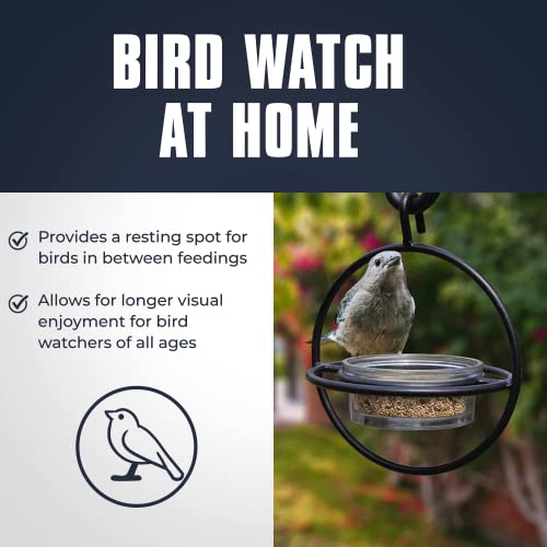 Monarch Abode Hanging Bird Feeder for Outdoors – Hanging Zazu Birdfeeder with Clear Glass Bowl & Metal Perch for Small Birds, Matte Black Decorative Wild Bird Feeder for Outside Garden Patio Deck Yard - color: Black, style: Glass Bird Feeder
