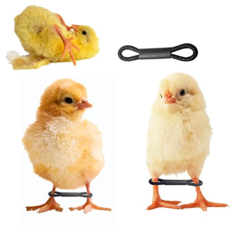 100 Pcs Baby Chicken Splay Leg Bands Poultry Adjustable Hobble Brace | Adjustable leg bands. For newborn chick, quail, duck. Splay leg, spraddle leg fix. 1-3 days newly hatched. Poultry accessory