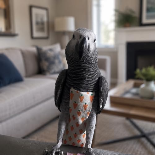 Eclectus/African Grey/Pigeon Bird Diaper Harness and Leash (XL) | Washable Reusable, Large Capacity, Medium Parrot Diapers, Outdoor Flying Training - size: XL