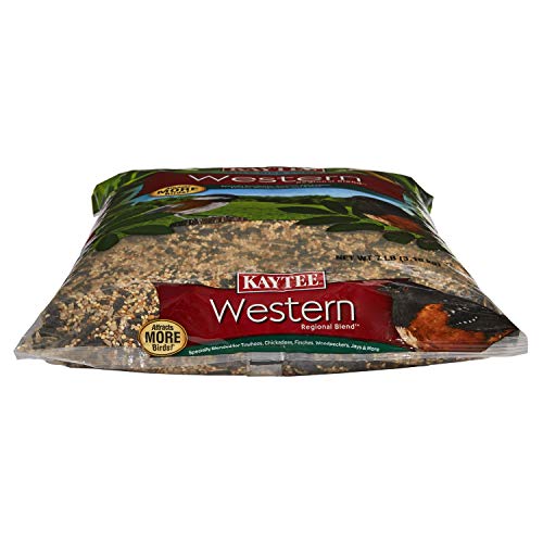 Kaytee Western Regional Wild Bird Seed, 7 lb (Pack of 2) - size: 7 Pound (Pack of 2), style: Western