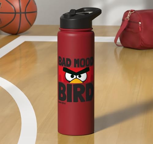 Angry Birds Red Bad Mood Bird Stainless Steel Insulated Water Bottle - color: Red