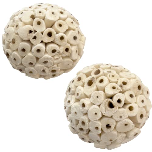 5100 Pk2 Big Sola Balls - Handmade Large Sized sola Wood Bird Foot Toys, Lightweight, Easy to Shred for Beaks and feet, Conditions While Pets chew, Excellent for med to Large Size Birds, Breaks Apart - color: Big Sola Balls, size: Pack 2