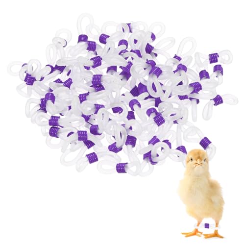 M METERXITY 100-Pack Adjustable Chick Leg Bands, 0.79" x 0.2" Silicone Chicken Leg Brace for Chicks/Ducks/Birds [Purple] Poultry Leg Bands - color: Purple