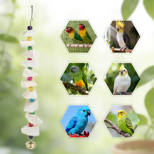 Bird Toys with Cuttlebone, Grinding Stone for Bird, 3 Pcs | Prevents Destructive Chewing, White, Colorful