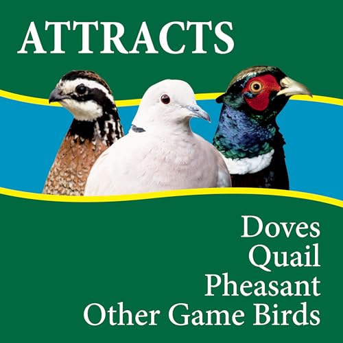 Wild Delight Dove & Quail Food, 10 lb - size: 10 Pound (Pack of 1)