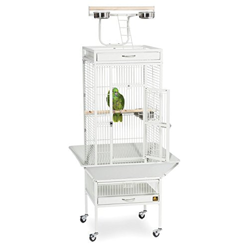 Prevue Pet Products Wrought Iron Select Bird Cage - L, Sage Green | Steel Cage with Rolling Stand and Seed Guards, Durable Design, Ideal for Cockatiels and Medium Birds - color: Sage Green, size: 18.0"L x 18.0"W x 57.0"H