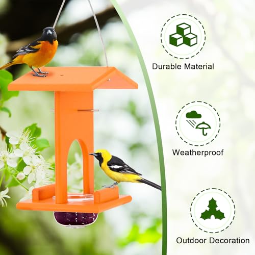 Gbekery Oriole Feeders for Outdoors Hanging,All-in-One Recycled Plastic Oriole Feeder with A Removable Glass Cup Jelly or Jam, Fruit, Nectar or Seed for Orioles,Orange,2 Pack - size: 2 Pack