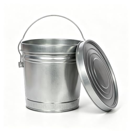 Galvanized Steel Storage Can, 6 Gallon with Locking Lid, Rodent & Rust Resistant Metal Bin for Pet Food, Bird Seed, Charcoal