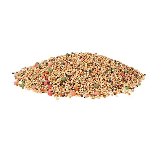 Wild Harvest Daily Blend Nutrition Diet Parakeet, Canary And Finch, Bird Food, 5 Pounds - size: 5 Pound (Pack of 1)