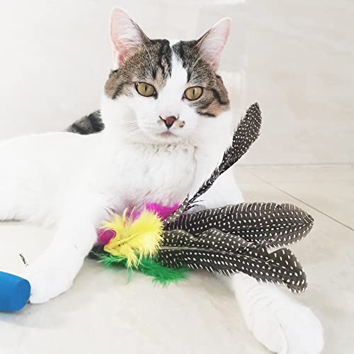 Cat Feather Toys Refills, 8 Pieces Natural Da Bird Feathers Refill, Cat Wand Replacement Feather for Indoor Cats (D) - color: D-8 PCS Feather Refills