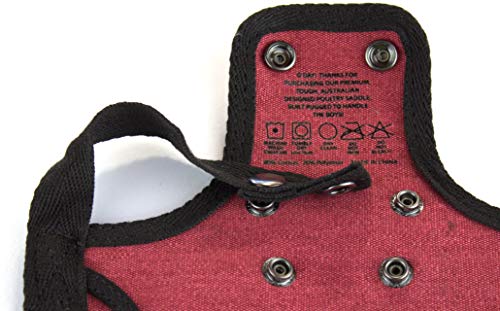 DOWN UNDER OUTDOORS Medium-Large Chicken Saddle Hen Apron Saver (Burgundy) | Adjustable Straps, Chicken Apron, Poultry Saver, Pet Supplies, Including Shoulder Cover, 14 oz Breathable Cotton Canvas - color: Burgundy