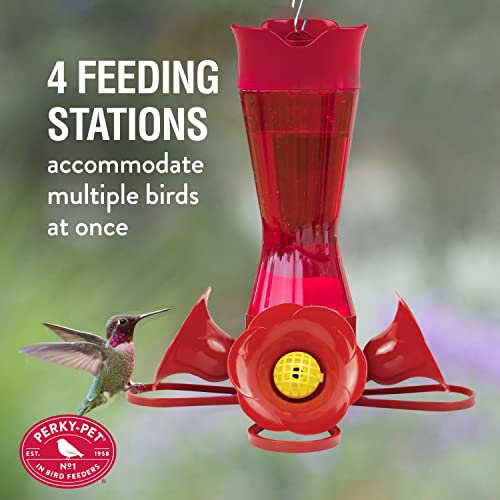 Perky-Pet 203CPBR Pinch-Waist Red Glass Hummingbird Feeder with Perches, Built-in Ant Moat and Bee Guards - Outdoor Garden Decor, Unique Gifts
