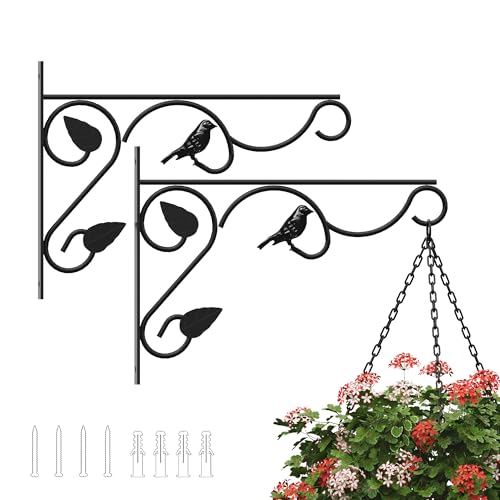 PROWORX 2 Pack 12 Inch Plant Hangers Outdoor Bracket, Bird Design Indoor Wall Mount Metal Heavy Duty Rust-Resistant Bird Feeder Plant Hooks for Hanging Planters, Flower Baskets - size: 12 Inch-Bird-2 Pcs